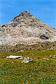 Parco del Monte Avic (Val d'Aosta), prateria alpina ai piedi del monte Torretta (2537 m).